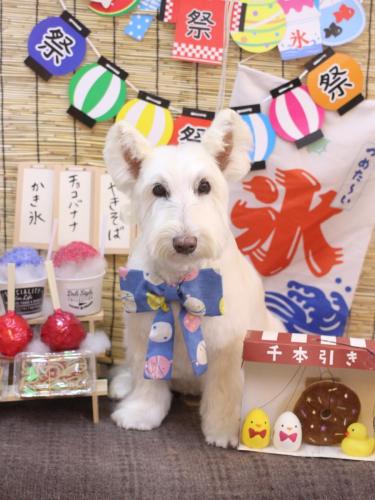 20240727ムーミンくん